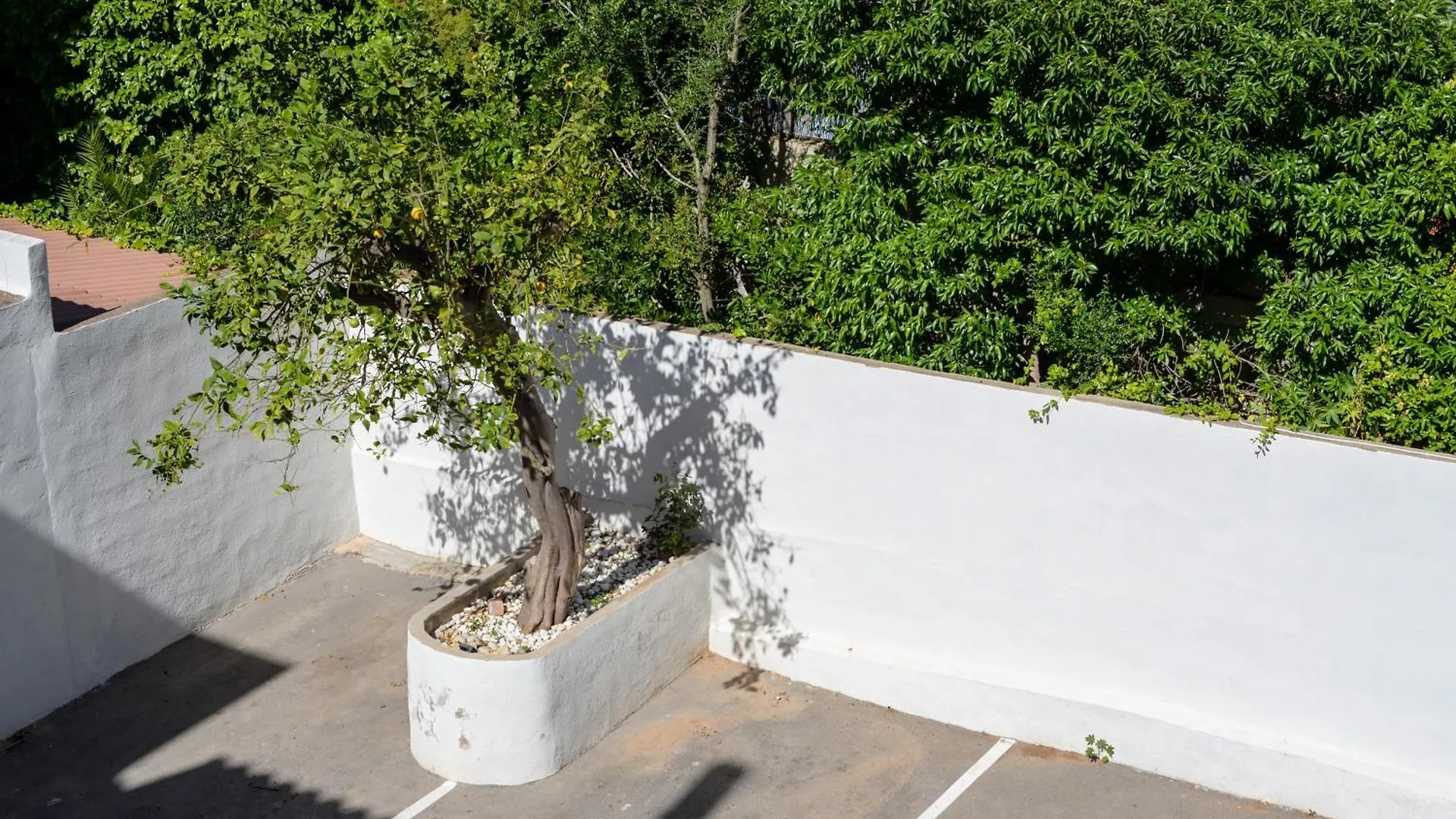Hostal Jakiton Palmanova Spanien